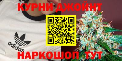 бошки Дубна