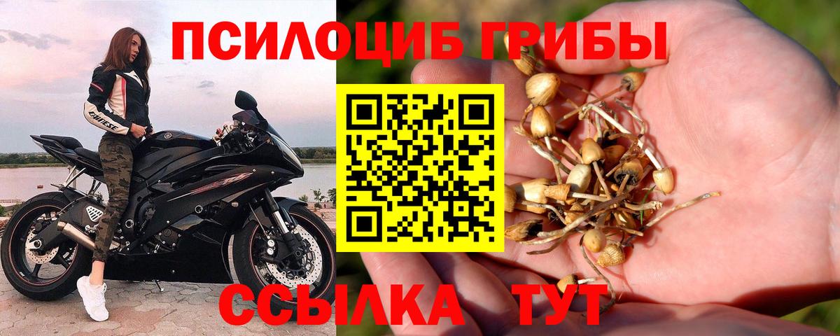 Псилоцибиновые грибы MAGIC MUSHROOMS Лосино-Петровский